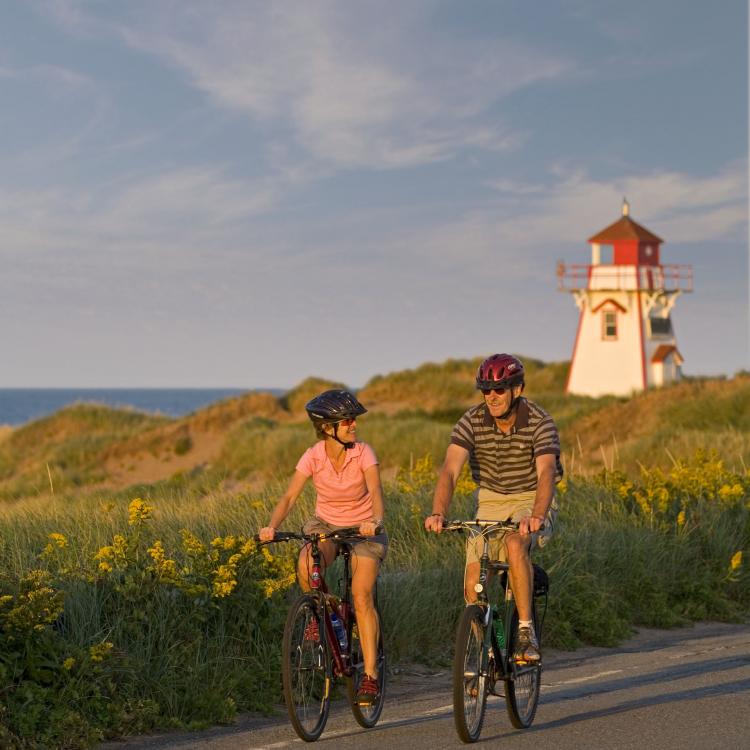 people on bicycles